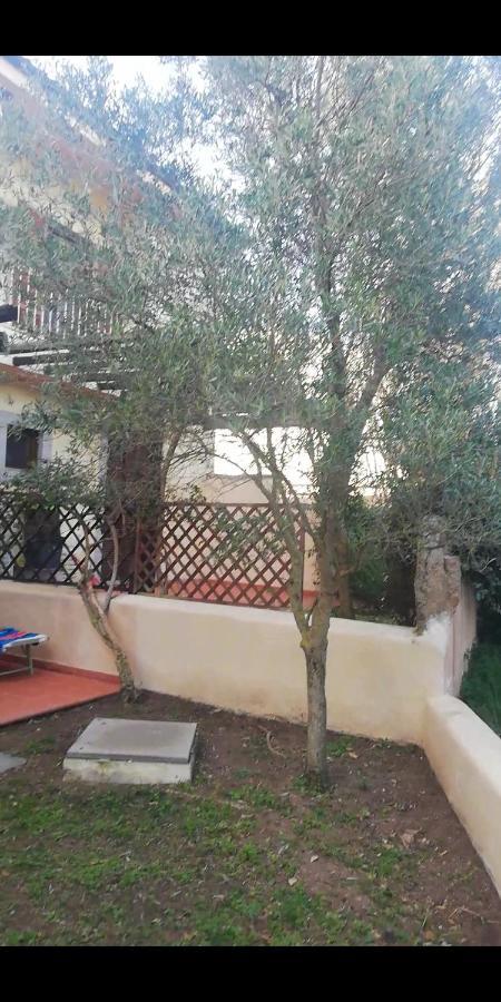 Apartament Oasiglo La Maddalena  Zewnętrze zdjęcie