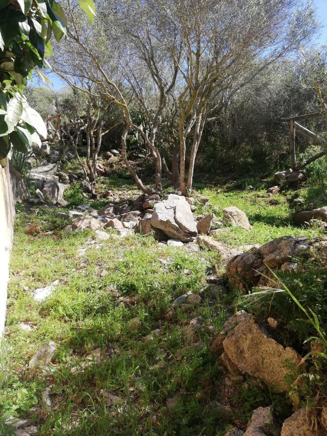 Apartament Oasiglo La Maddalena  Zewnętrze zdjęcie